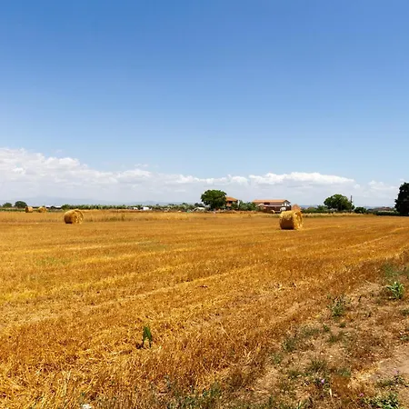 Bilo Iris Farm stay