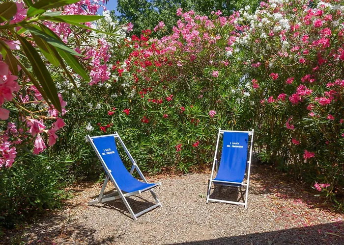 Bilo Iris 팜스테이 *