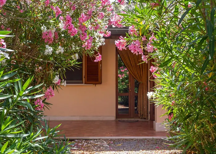 Bilo Iris 마리나디그로세토