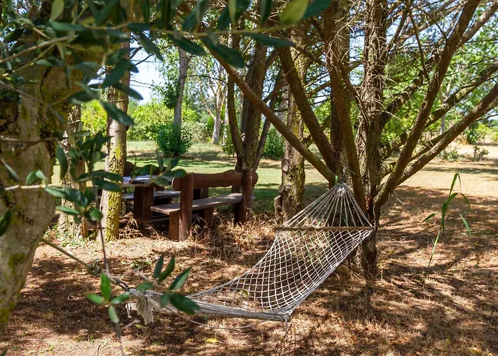 Bilo Iris 마리나디그로세토