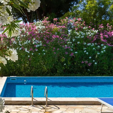 Bilo Iris * מרינה די גרוסטו