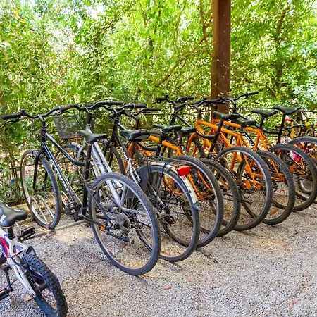 Bilo Iris Feriegård *