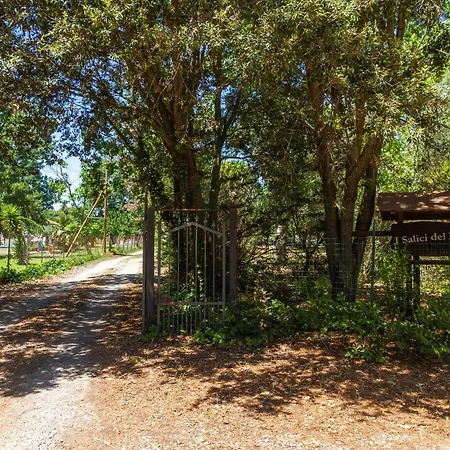 בית חווה Bilo Iris