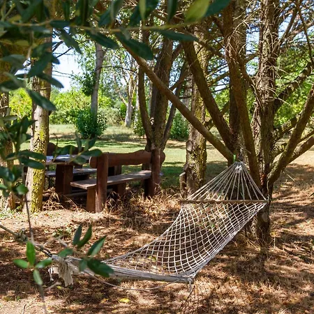 Bilo Iris מרינה די גרוסטו