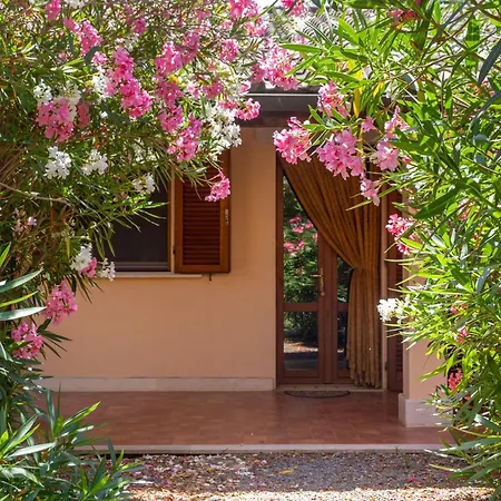 Farm stay Bilo Iris Marina di Grosseto
